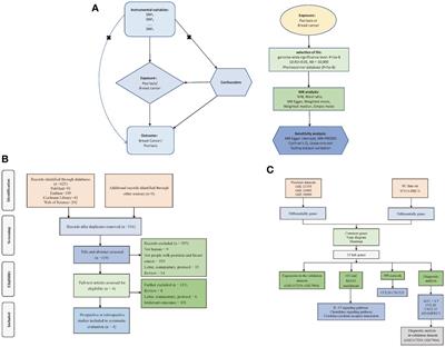 Deciphering the causal association and co-disease mechanisms between psoriasis and breast cancer